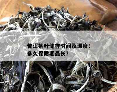 普洱茶叶储存时间及温度：多久保质期最长？