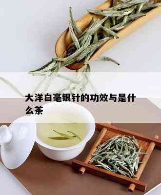 大洋白毫银针的功效与是什么茶