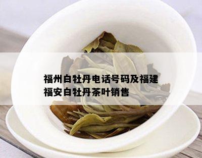 福州白牡丹电话号码及福建福安白牡丹茶叶销售