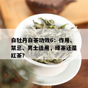 白牡丹白茶功效6：作用、禁忌、男士适用，绿茶还是红茶？