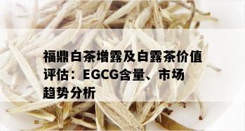 福鼎白茶增露及白露茶价值评估：EGCG含量、市场趋势分析