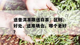 送普洱茶跟送白茶：区别、好处、适用场合、哪个更好？