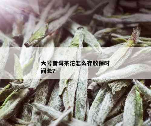 大号普洱茶沱怎么存放保时间长？