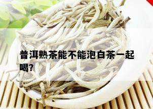 普洱熟茶能不能泡白茶一起喝？