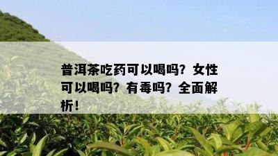 普洱茶吃可以喝吗？女性可以喝吗？有吗？全面解析！