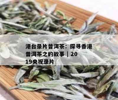 港台录片普洱茶：探寻香港普洱茶之的故事 | 2019央视录片