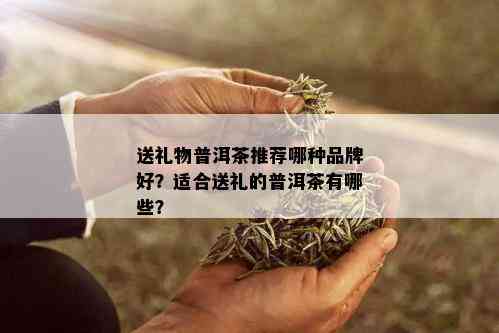 送礼物普洱茶推荐哪种品牌好？适合送礼的普洱茶有哪些？