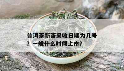 普洱茶新茶采收日期为几号？一般什么时候上市？