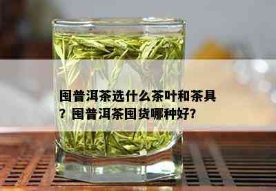 囤普洱茶选什么茶叶和茶具？囤普洱茶囤货哪种好？