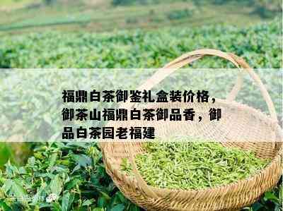 福鼎白茶御鉴礼盒装价格，御茶山福鼎白茶御品香，御品白茶园老福建