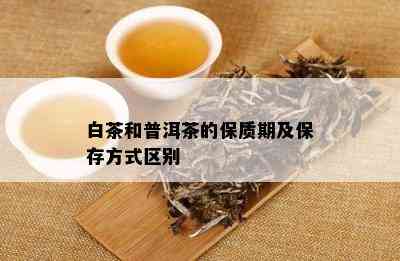 白茶和普洱茶的保质期及保存方式区别