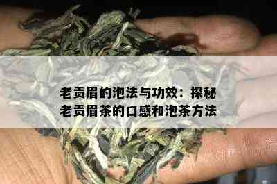 老贡眉的泡法与功效：探秘老贡眉茶的口感和泡茶方法