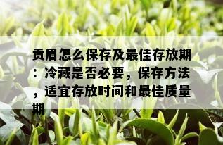 贡眉怎么保存及更佳存放期：冷藏是否必要，保存方法，适宜存放时间和更佳质量期