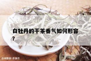 白牡丹的干茶香气如何形容？