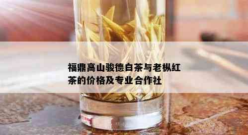 福鼎高山骏德白茶与老枞红茶的价格及专业合作社