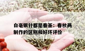 白毫银针都是春茶：春秋两制作的区别和好坏评价