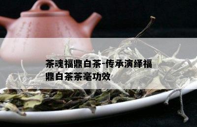 茶魂福鼎白茶-传承演绎福鼎白茶茶毫功效