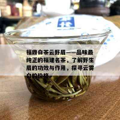 福鼎白茶云野眉——品味最纯正的福建名茶，了解野生眉的功效与作用，探寻云雾白的价格。