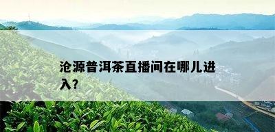 沧源普洱茶直播间在哪儿进入？