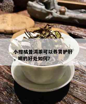 小柑橘普洱茶可以养胃护肝，喝的好处如何？