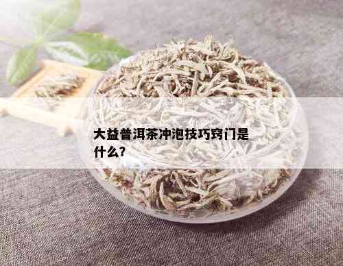 大益普洱茶冲泡技巧窍门是什么？