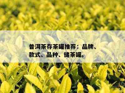 普洱茶存茶罐推荐：品牌、款式、品种、储茶罐。