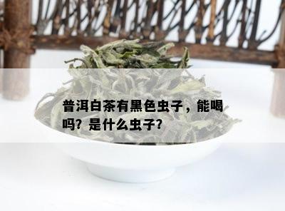 普洱白茶有黑色虫子，能喝吗？是什么虫子？