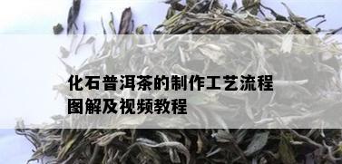 化石普洱茶的制作工艺流程图解及视频教程