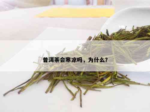 普洱茶会寒凉吗，为什么？