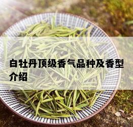 白牡丹顶级香气品种及香型介绍