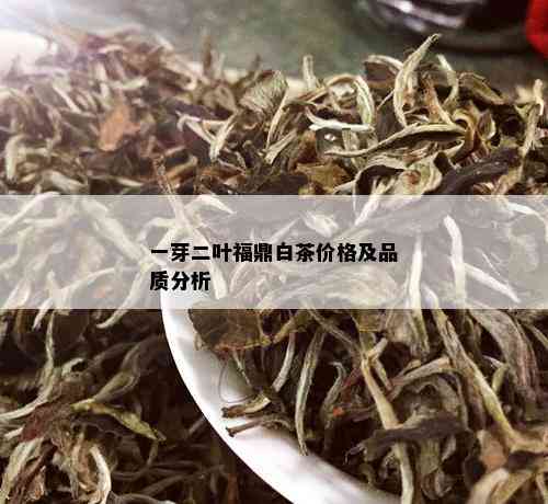 一芽二叶福鼎白茶价格及品质分析