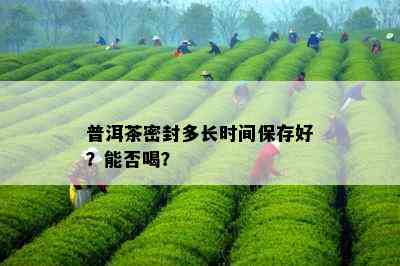 普洱茶密封多长时间保存好？能否喝？