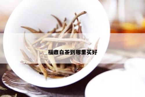 福鼎白茶到哪里买好