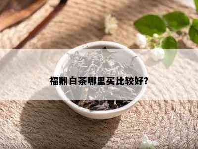 福鼎白茶哪里买比较好？