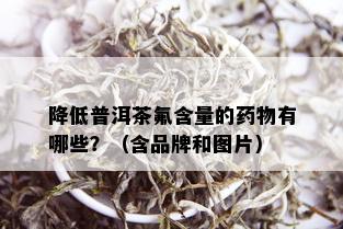 降低普洱茶氟含量的物有哪些？（含品牌和图片）