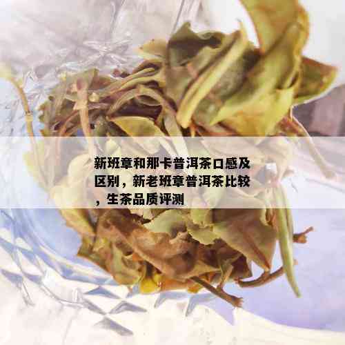 新班章和那卡普洱茶口感及区别，新老班章普洱茶比较，生茶品质评测