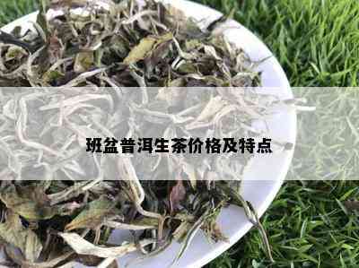 班盆普洱生茶价格及特点