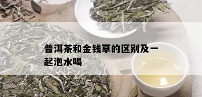 普洱茶和金钱草的区别及一起泡水喝