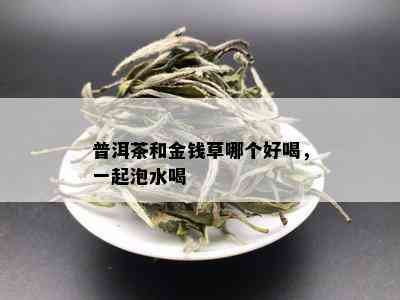 普洱茶和金钱草哪个好喝，一起泡水喝