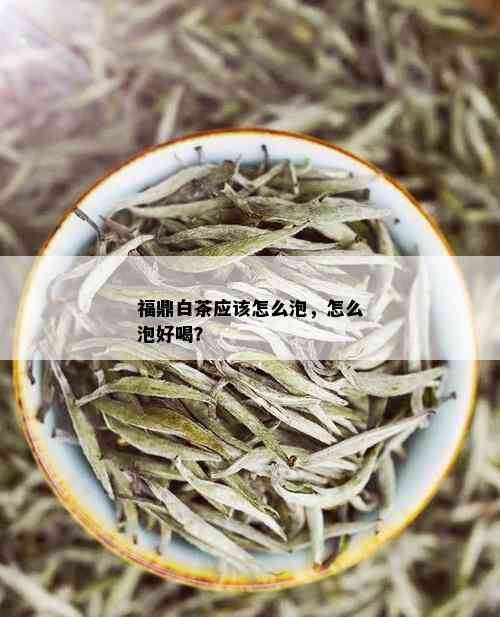 福鼎白茶应该怎么泡，怎么泡好喝？