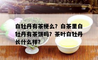 白牡丹有茶梗么？白茶里白牡丹有茶饼吗？茶叶白牡丹长什么样？