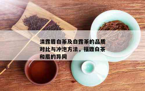 清露眉白茶及白露茶的品质对比与冲泡方法，福鼎白茶和眉的异同