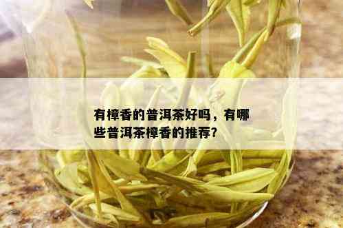 有樟香的普洱茶好吗，有哪些普洱茶樟香的推荐？