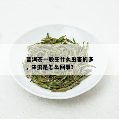 普洱茶一般生什么虫害的多，生虫是怎么回事？