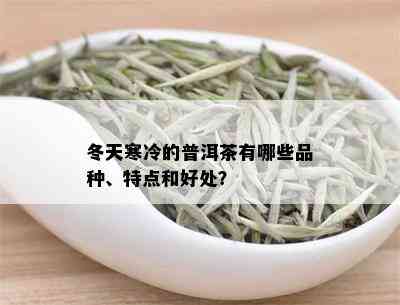 冬天寒冷的普洱茶有哪些品种、特点和好处？