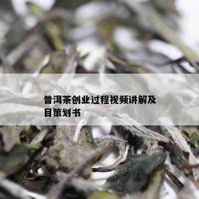 普洱茶创业过程视频讲解及目策划书