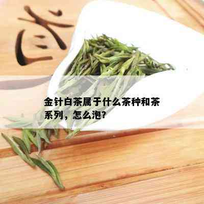 金针白茶属于什么茶种和茶系列，怎么泡？