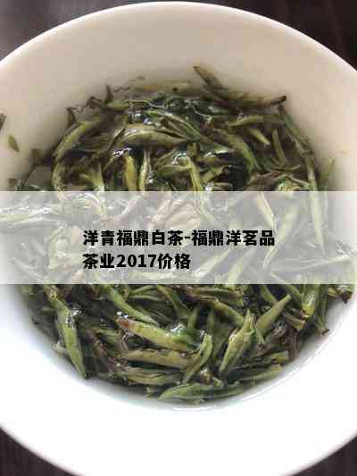 洋青福鼎白茶-福鼎洋茗品茶业2017价格