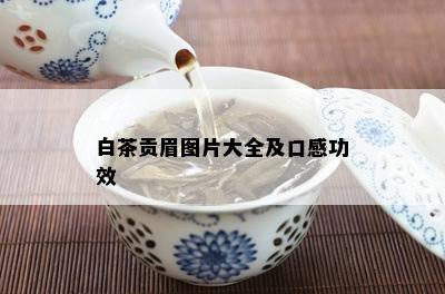 白茶贡眉图片大全及口感功效