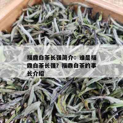 福鼎白茶长强简介：谁是福鼎白茶长强？福鼎白茶的事长介绍